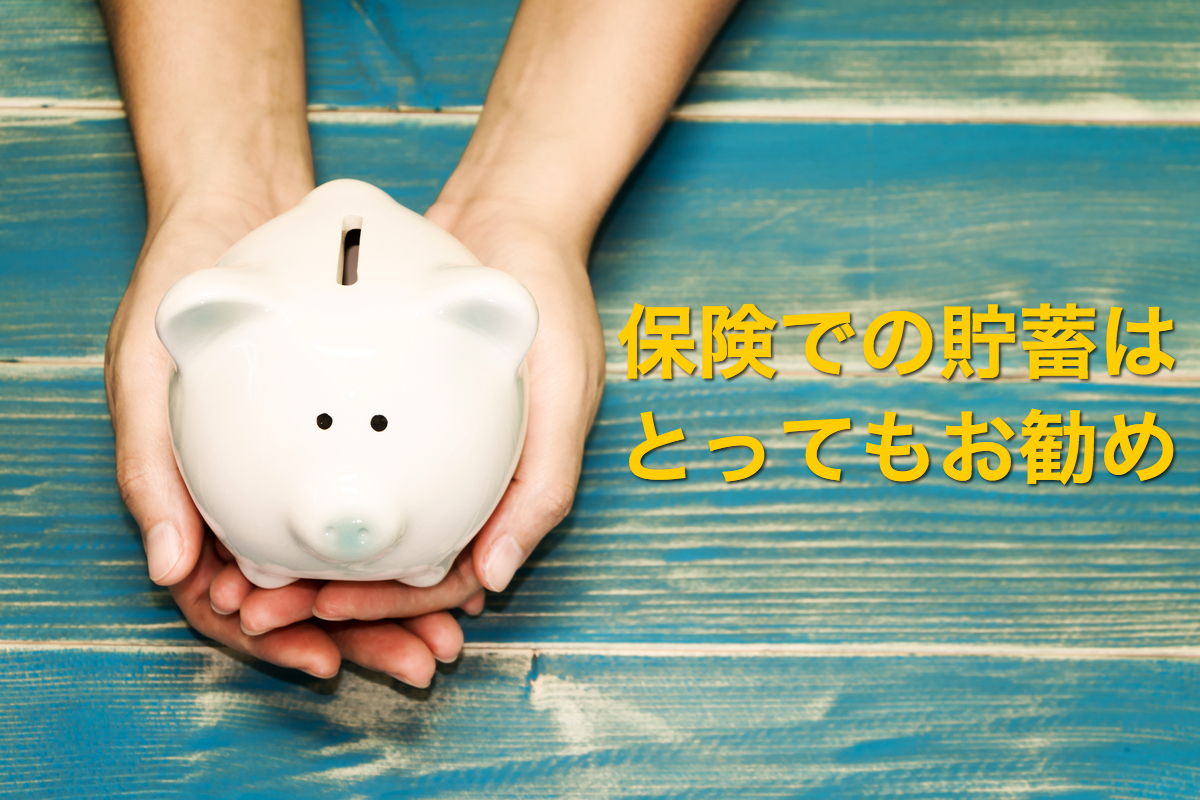 保険で貯蓄